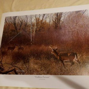 Art prints by Patrick Gibbs